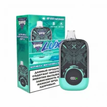 gang-lux-12000-blueberry-strawberry-mint