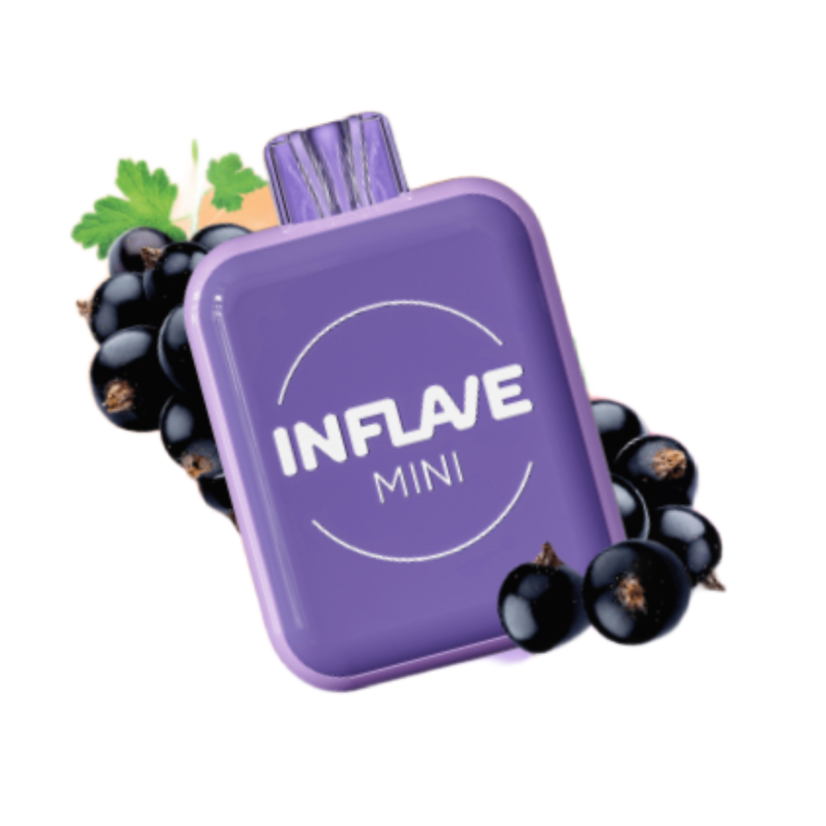INFLAVE MINI 1000 Черная смородина