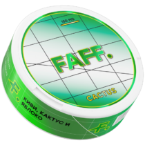 КАКТУС-800x800