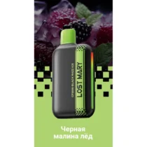 lost-mary-cf8000-black-raspberry-ice