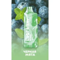 lost-mary-mo5000-black-mint