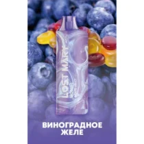 lost-mary-mo5000-grape-jelly