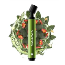 soak-s-cactus-lemonade