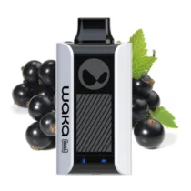 waka-sopro-pa10000-blackcurrant-mint